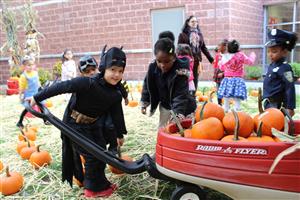 pumpkin pick1 
