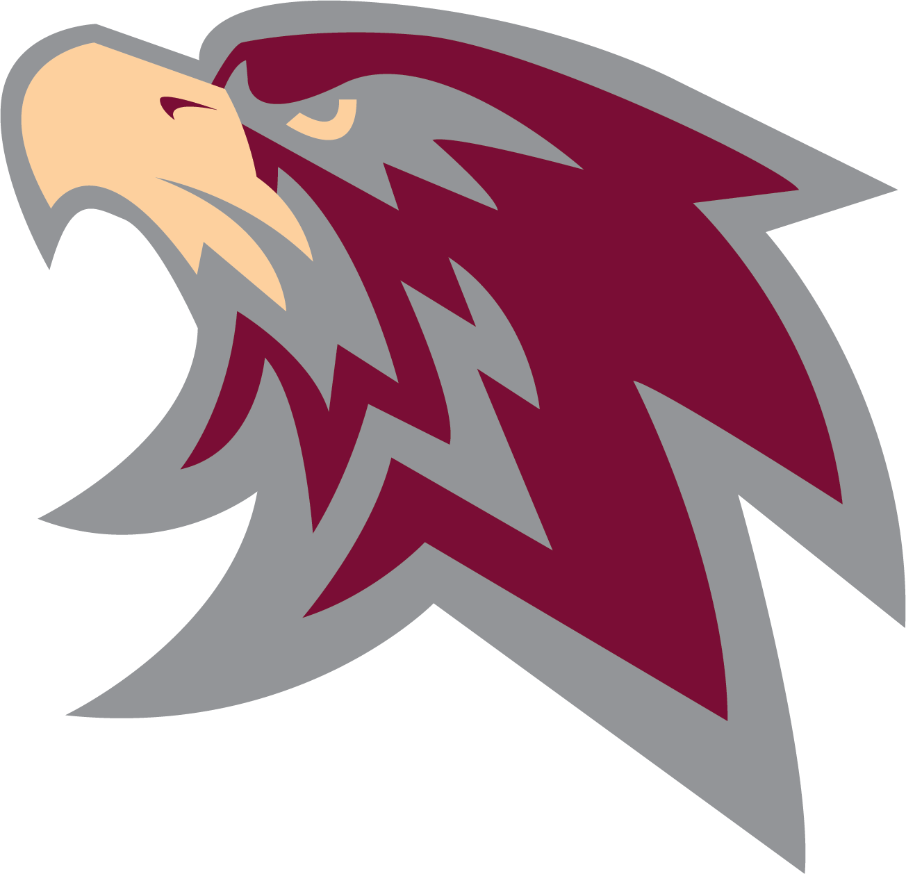 Dr. Albert Einstein Academy School No. 29 logo